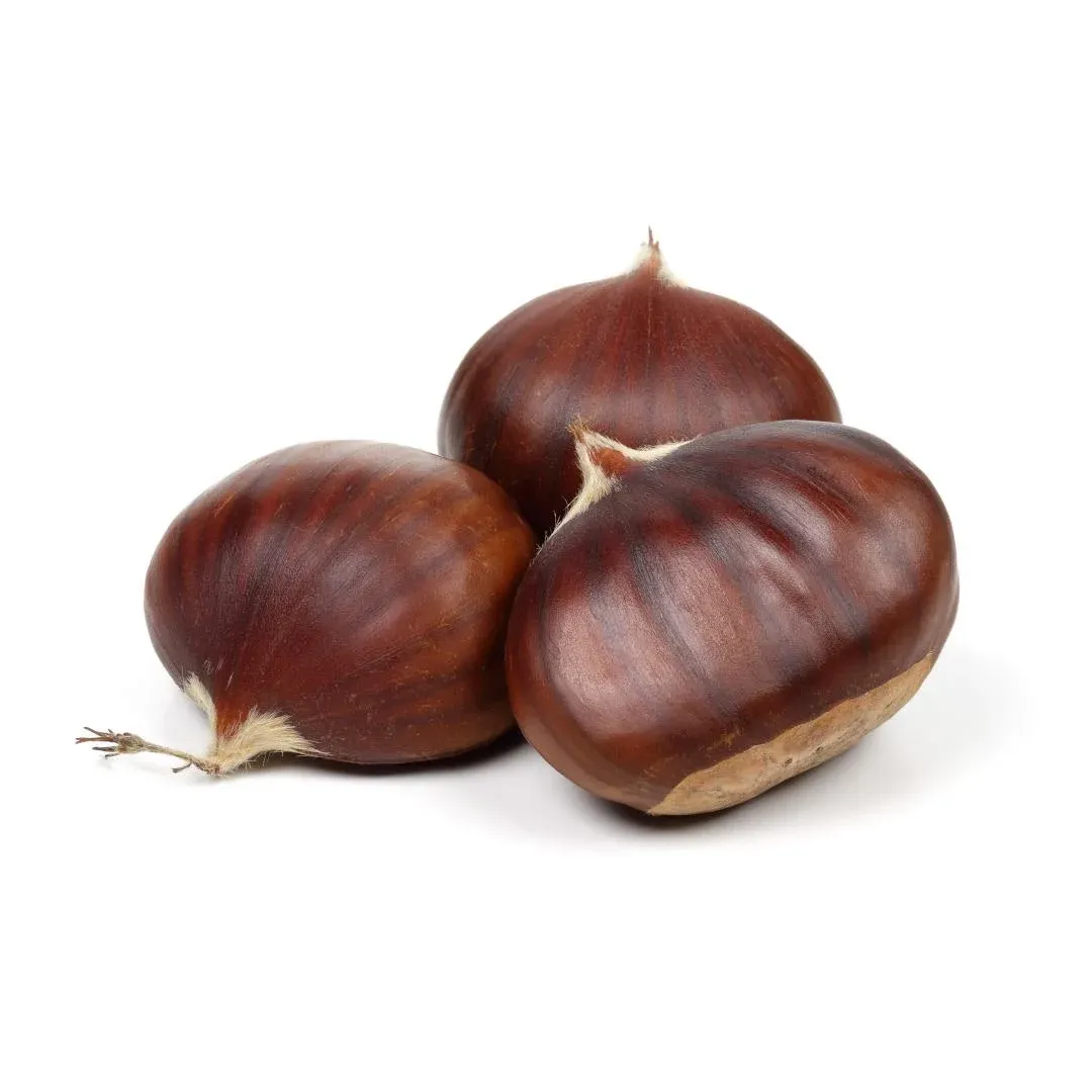 Kestane | Zeybek Tarım