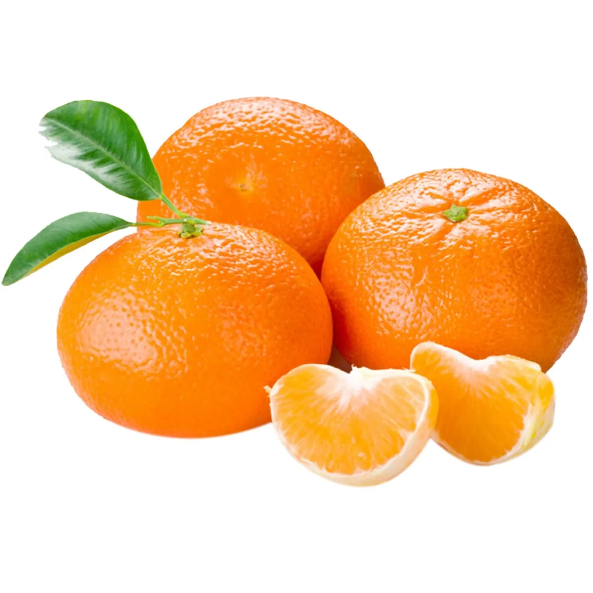 Mandalina | Zeybek Tarım