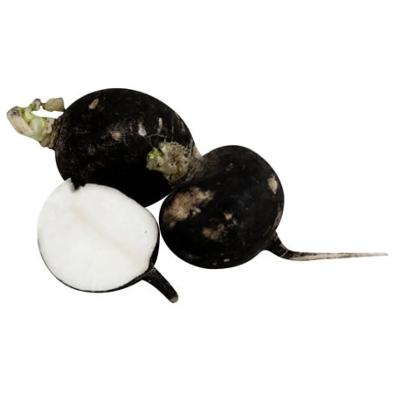 Siyah Turp | Zeybek Tarım