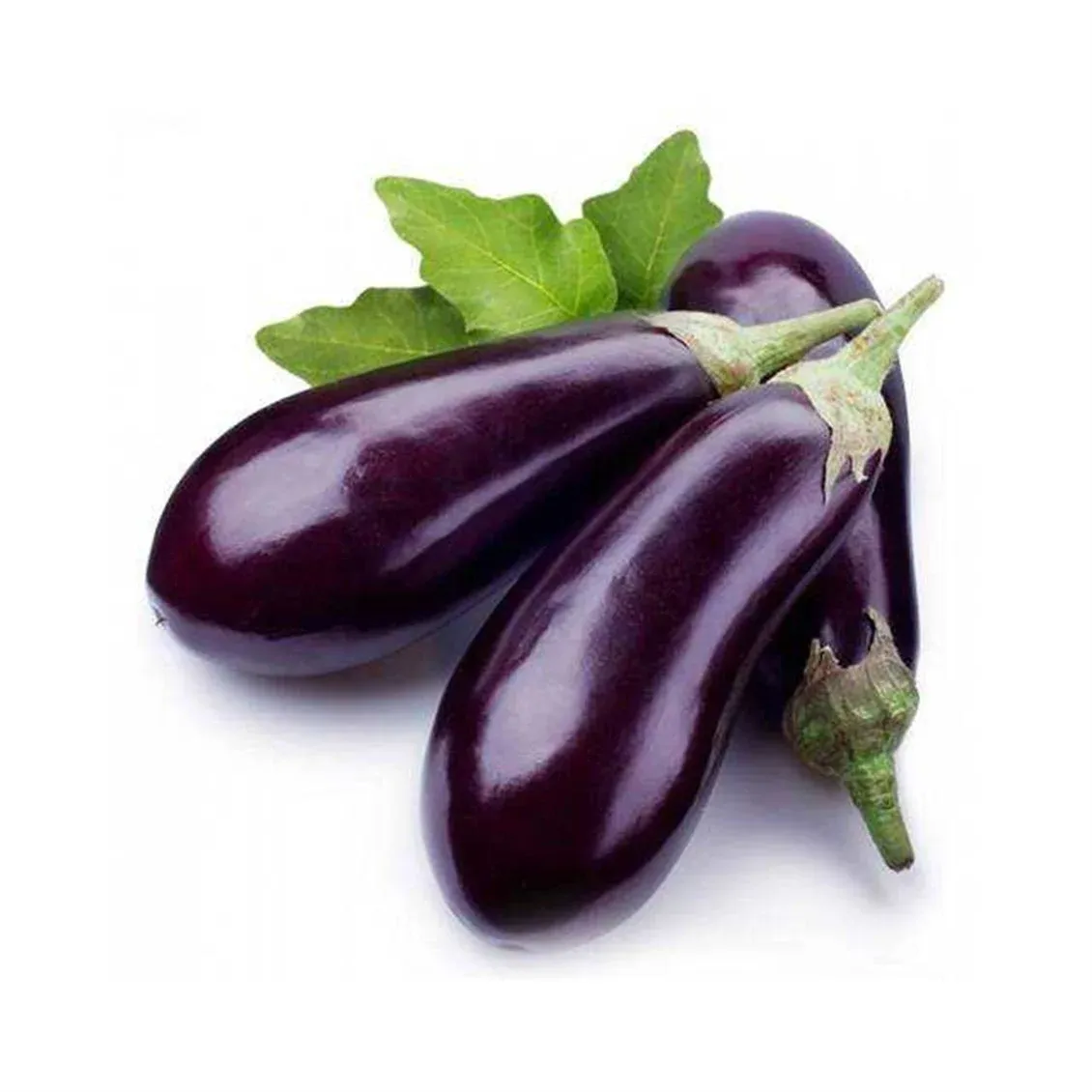 Kestel Patlıcan | Zeybek Tarım