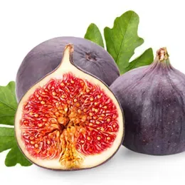 Siyah İncir | Zeybek Tarım