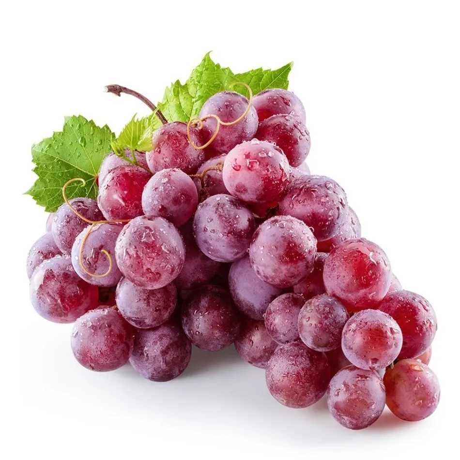 Redglow Üzüm | Zeybek Tarım