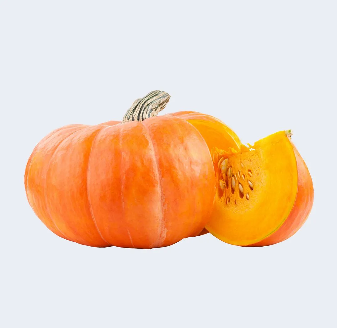 Bal Kabağı | Zeybek Tarım