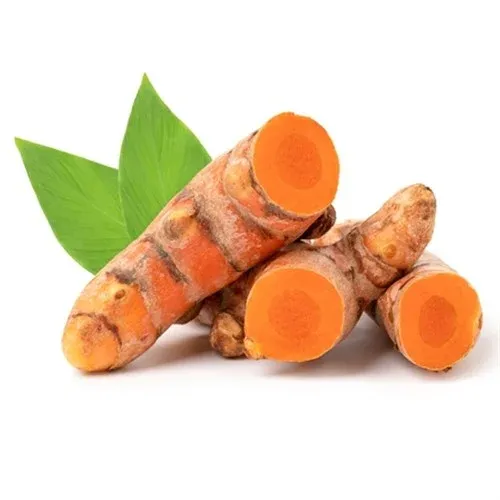 Zerdeçal Kökü | Zeybek Tarım