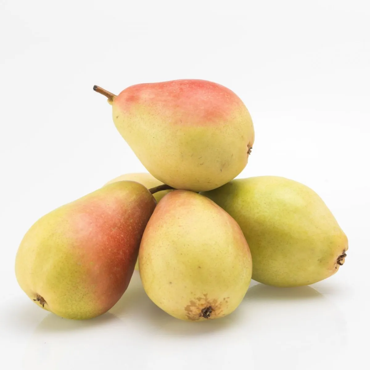 Santa Marina Armut | Zeybek Tarım