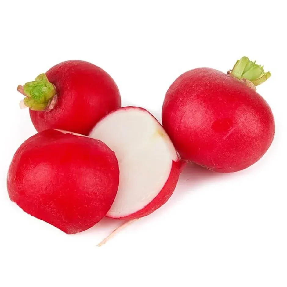 Kırmızı Turp | Zeybek Tarım