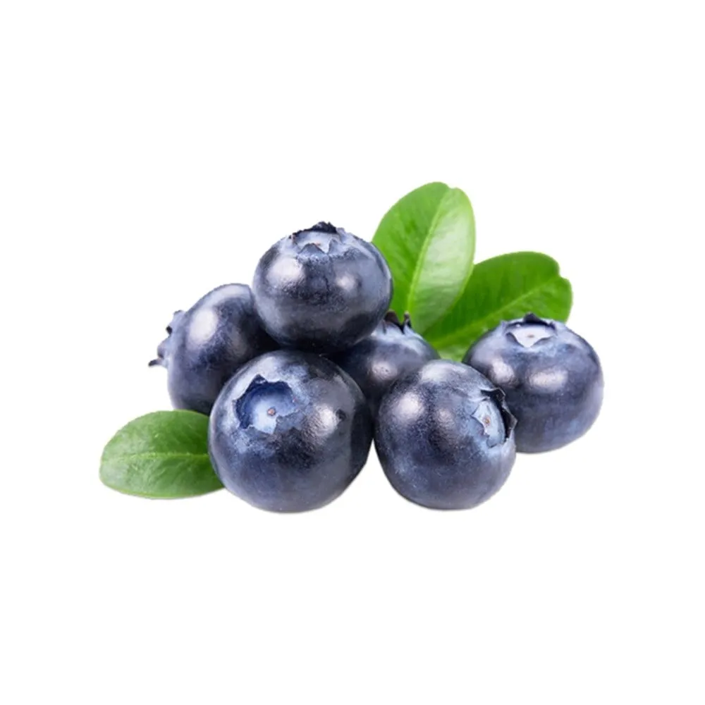 Yaban Mersini (Blueberry) | Zeybek Tarım