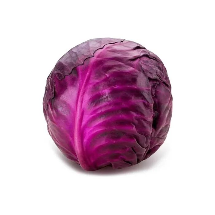 Kırmızı Lahana | Zeybek Tarım