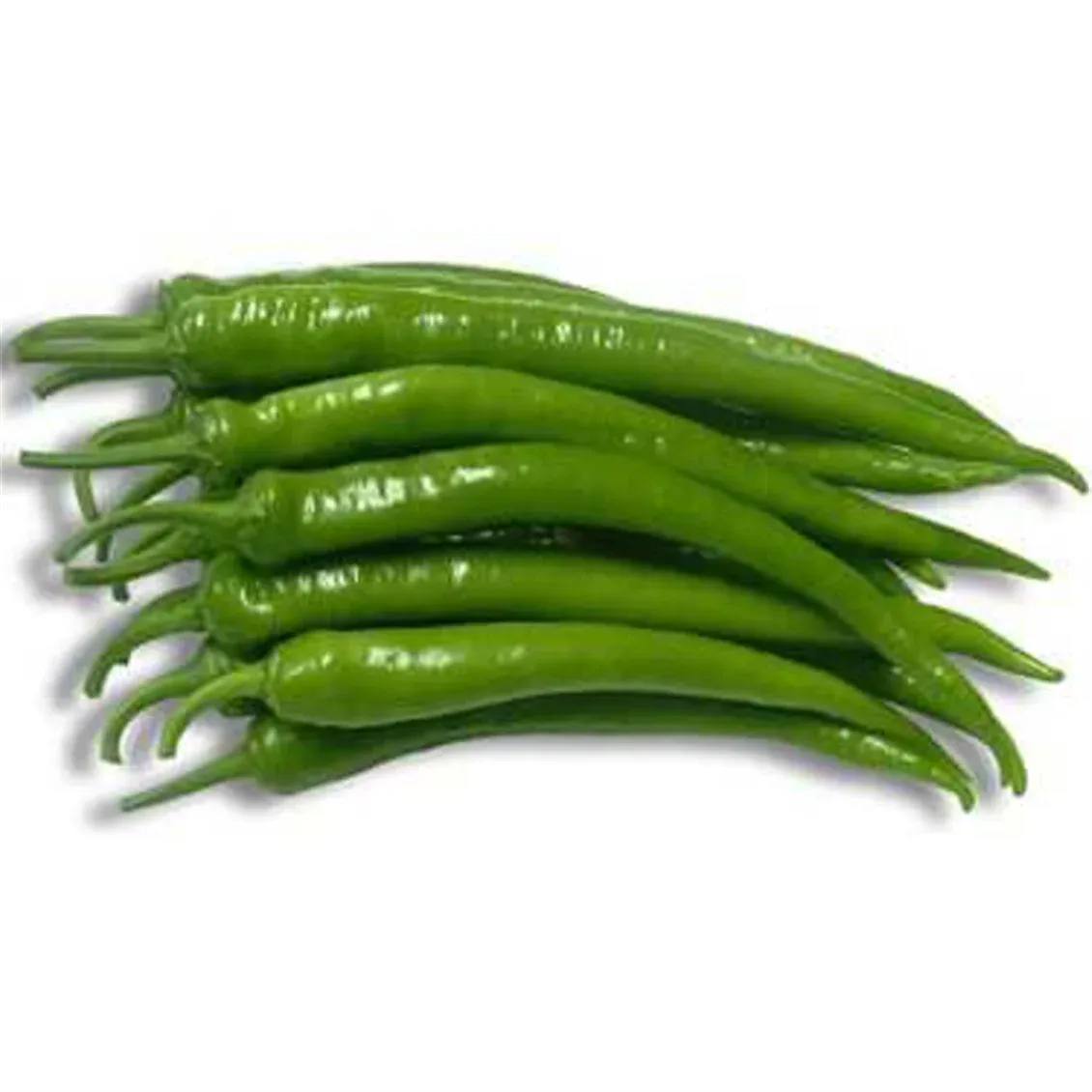 Yeşil Sivri Biber | Zeybek Tarım