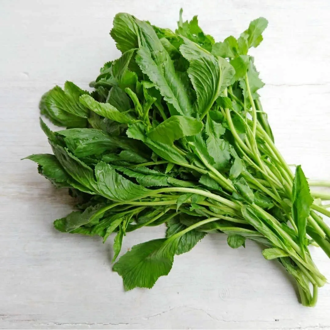 Tere | Zeybek Tarım