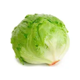 Göbek Marul | Zeybek Tarım