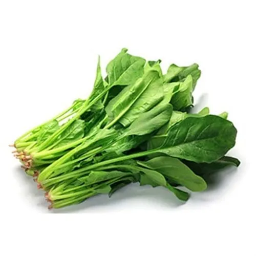 Ispanak | Zeybek Tarım