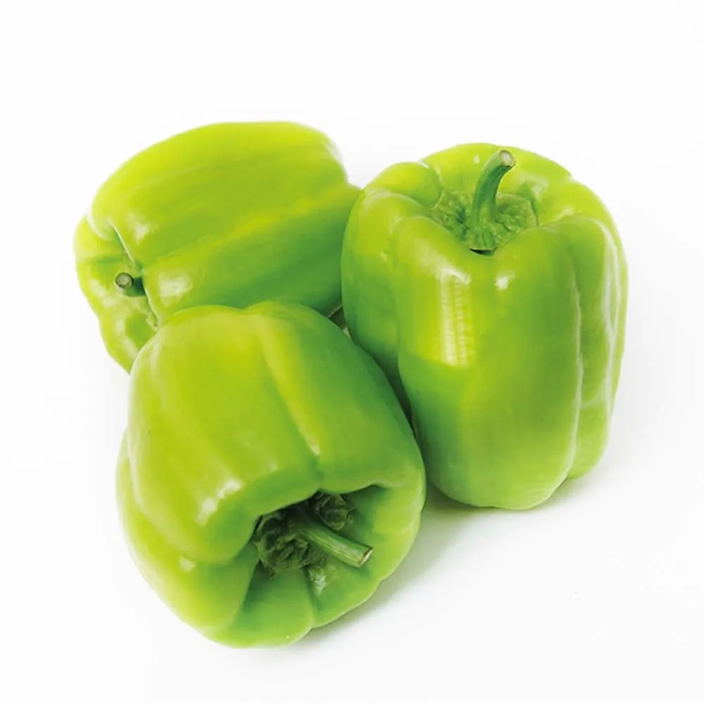 Dolmalık Biber | Zeybek Tarım