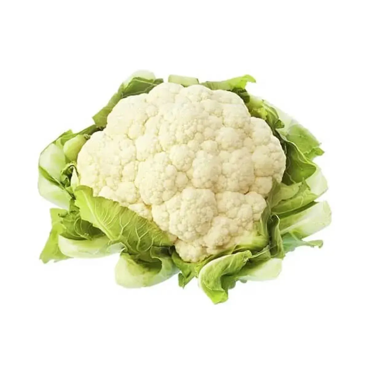 Karnabahar | Zeybek Tarım