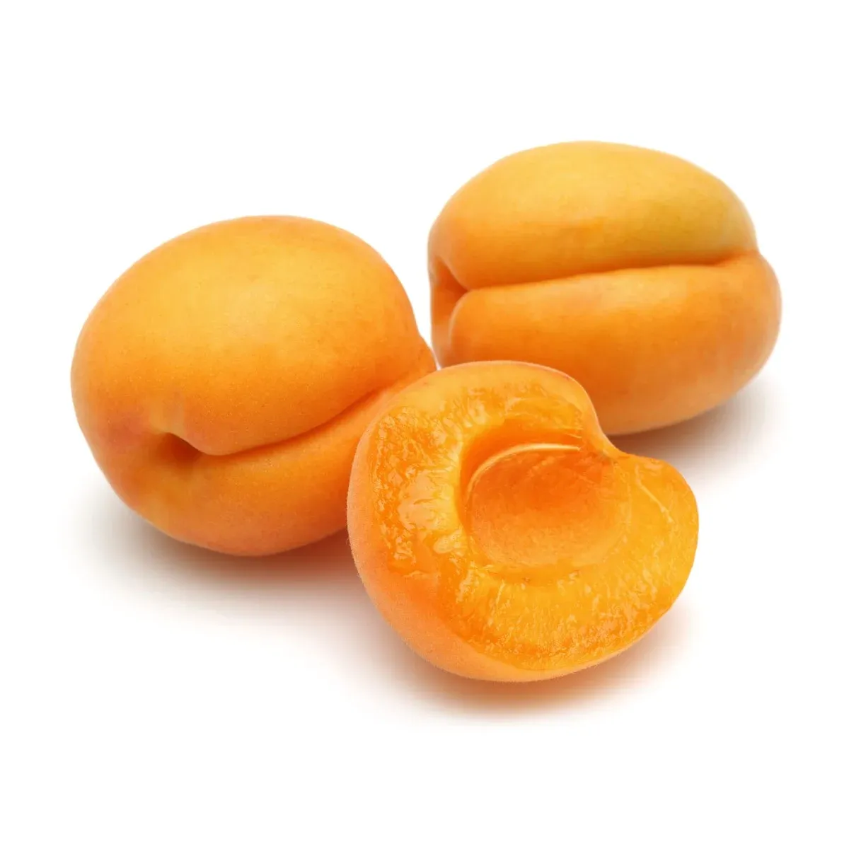 Kayısı | Zeybek Tarım