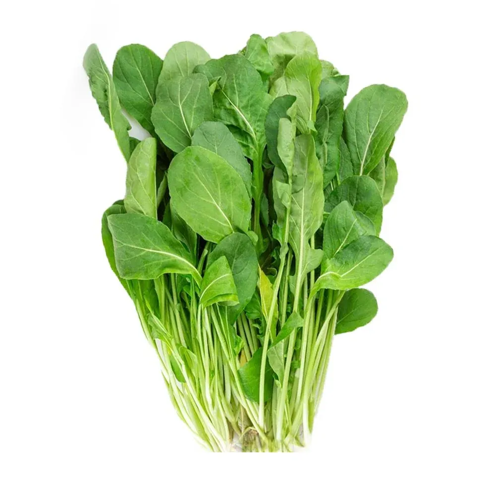 Roka | Zeybek Tarım