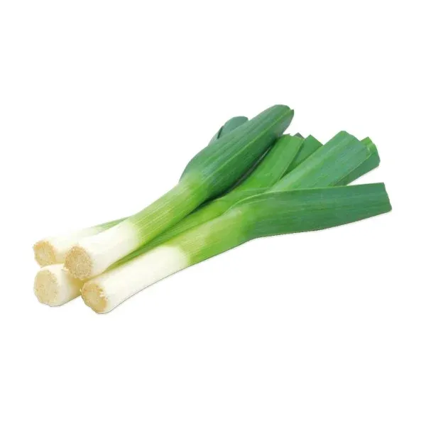 Pırasa | Zeybek Tarım