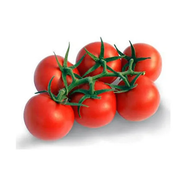 Salkım Domates | Zeybek Tarım