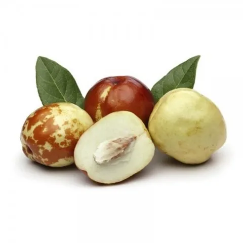 Hünnap | Zeybek Tarım