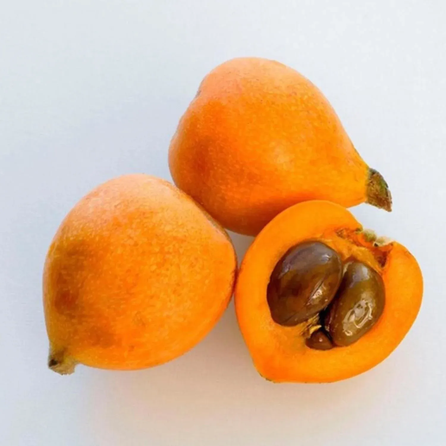 Yeni Dünya | Zeybek Tarım