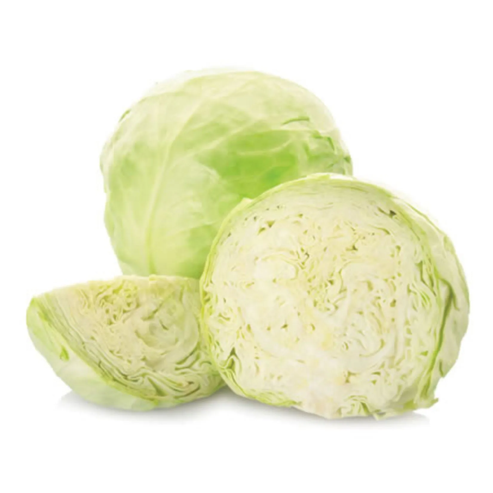 Beyaz Lahana | Zeybek Tarım