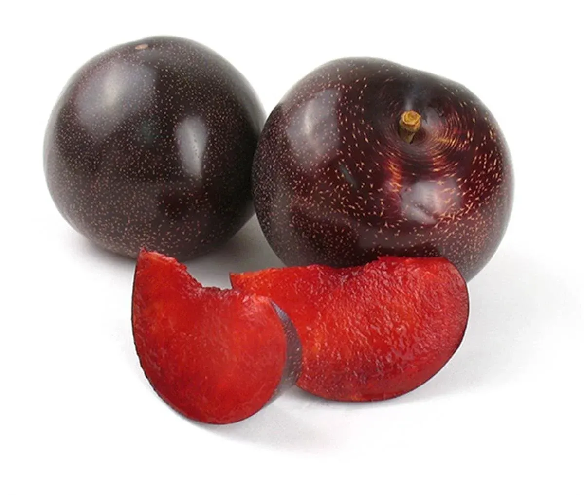 Siyah Erik | Zeybek Tarım