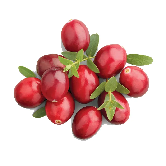 Kızılcık | Zeybek Tarım