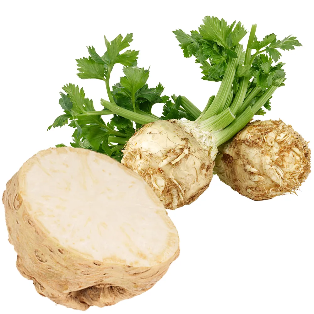 Kereviz | Zeybek Tarım