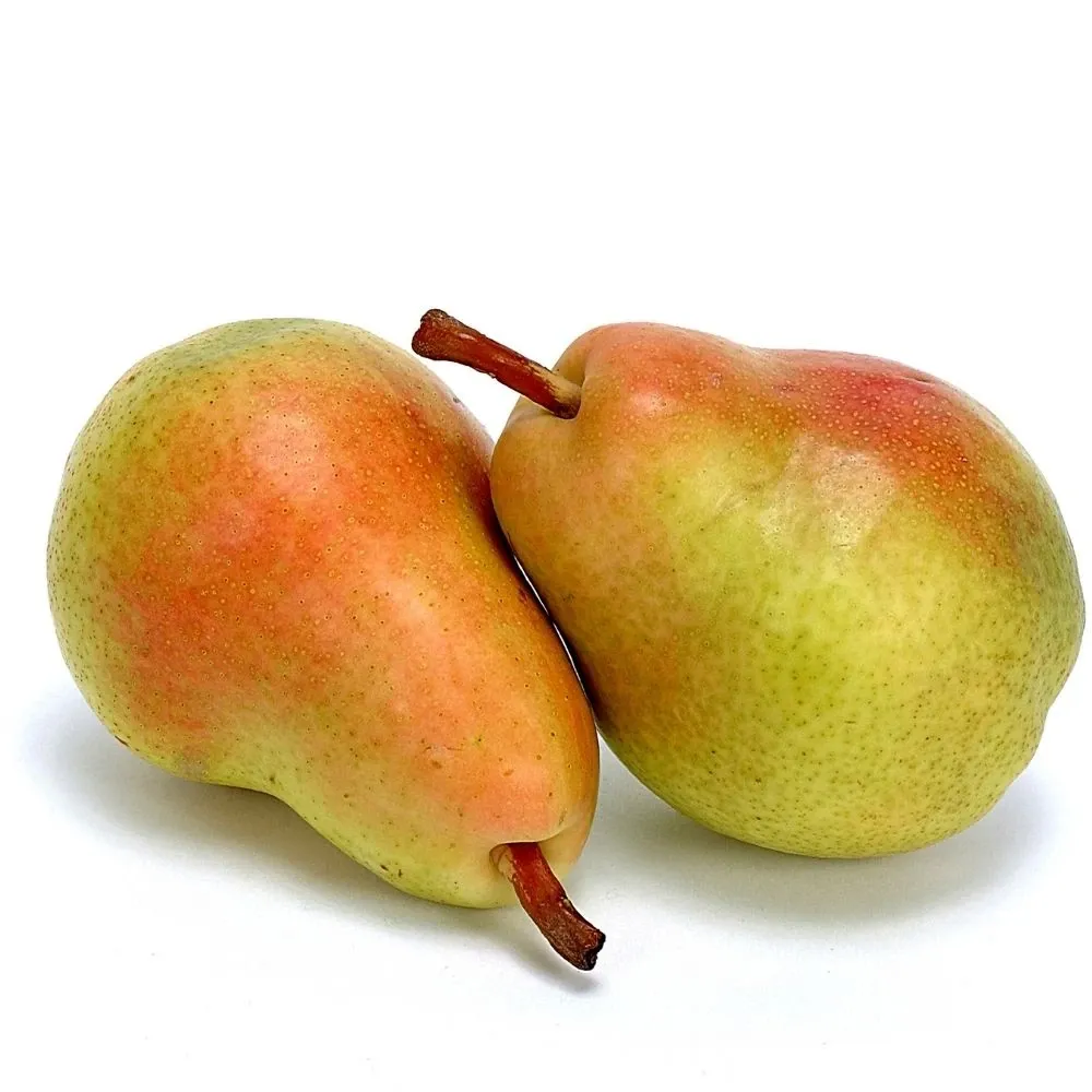 Bahribey Armut | Zeybek Tarım