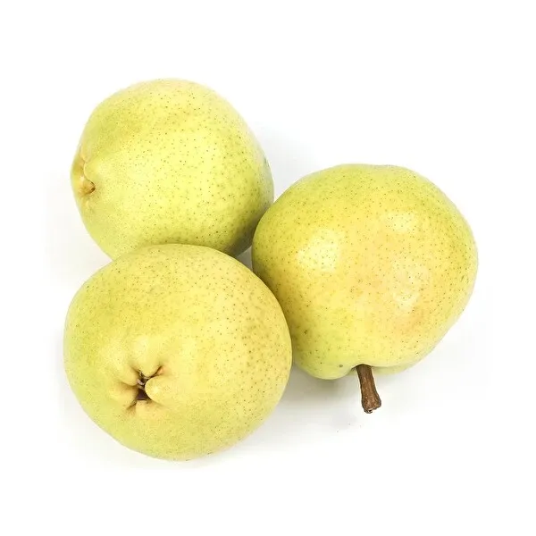 Devecik Armut | Zeybek Tarım