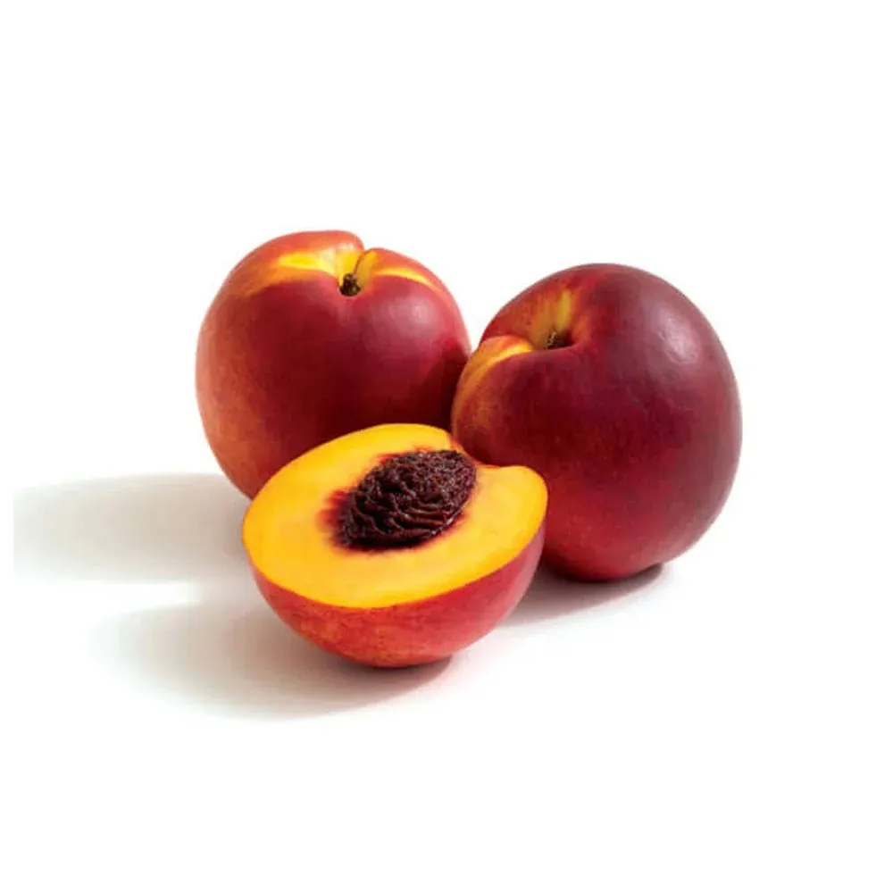 Nektarin | Zeybek Tarım