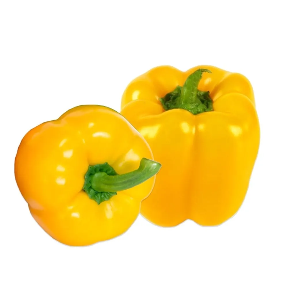 Kaliforniya Biberi | Zeybek Tarım