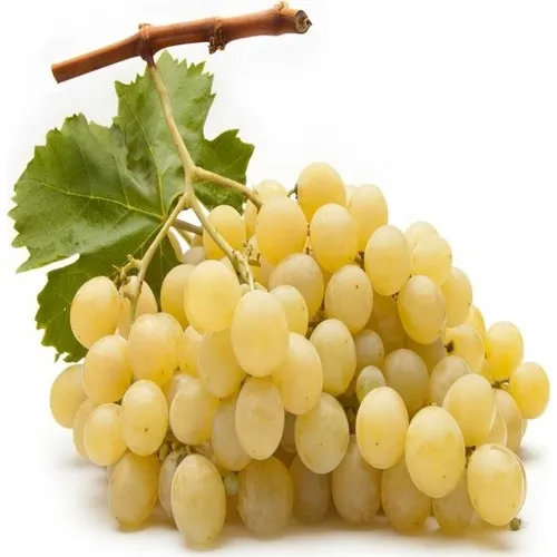 Sultaniye Üzüm | Zeybek Tarım