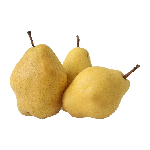 Margarita Armut | Zeybek Tarım