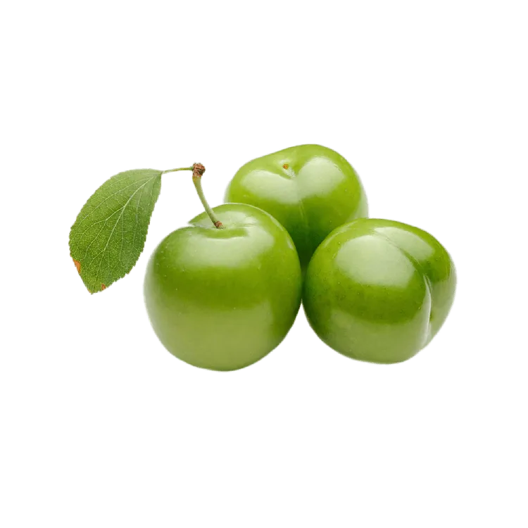 Erik (Taze ve Doğal) | Zeybek Tarım